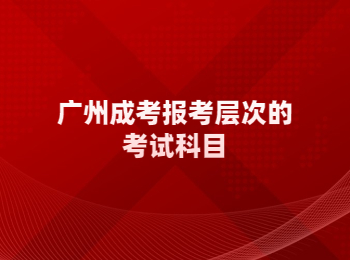 廣州成考報(bào)考層次